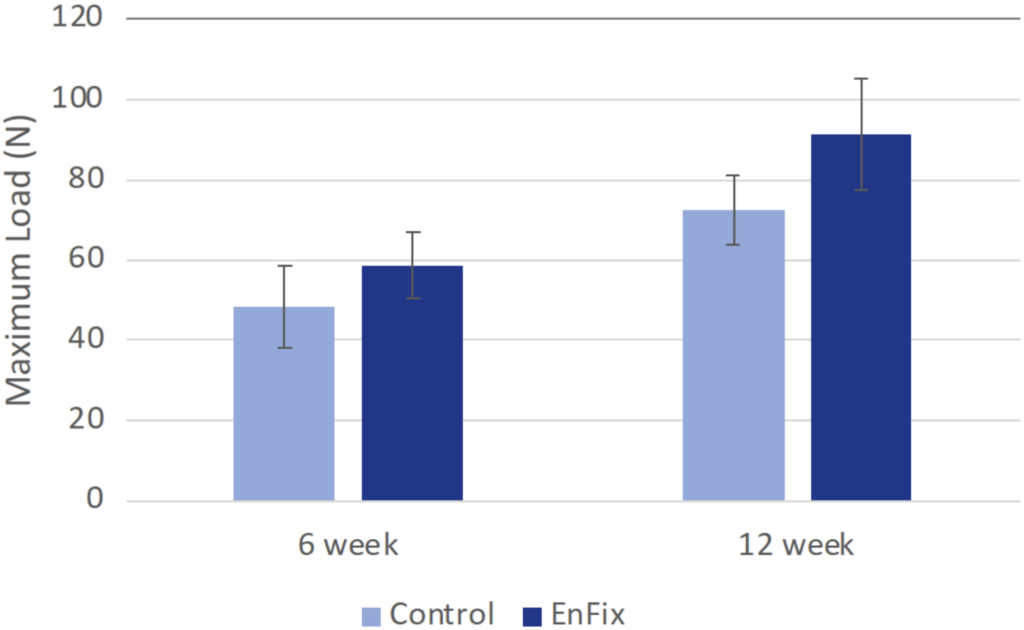 Biomechanical testing of a rabbit infraspinatus repair study showing increased strength with EnFix over time.