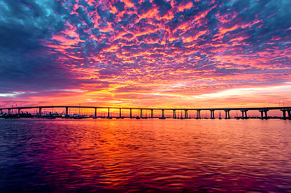 June 10-13 - San Diego Shoulder Inst. (Arthroscopy, Arthroplasty & Fractures)